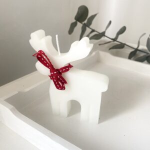 Reindeer