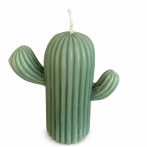 Large Cactus